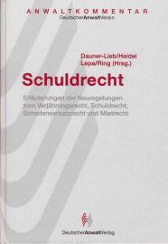 Schuldrecht. Erläuterungen der Neuregelungen zum Verjährungsrecht, Schuldrecht, Schadensersatzrecht und Mietrecht.