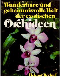 Wunderbare und geheimnisvolle Welt der exotischen Orchideen.