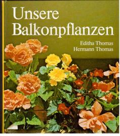 Unsere Balkonpflanzen.