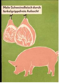 Mehr Schweinefleisch durch ferkelgrippefreie Aufzucht