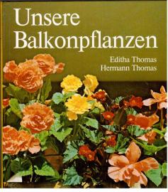 Unsere Balkonpflanzen.