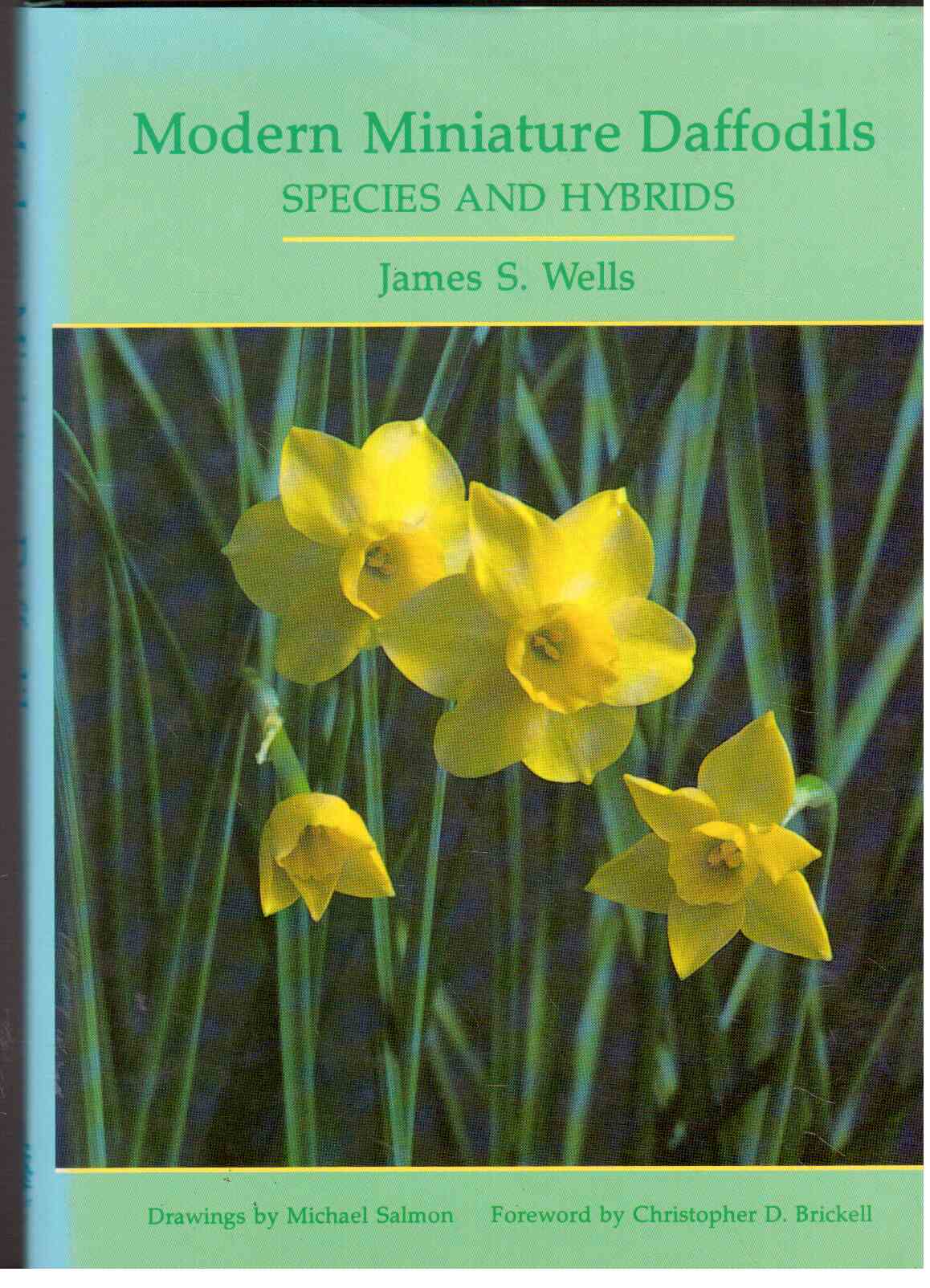 Modern Miniature Daffodils : Species and Hybrids