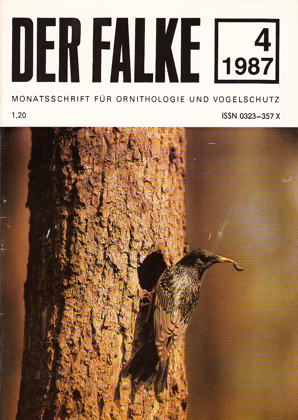 Der Falke : Monatsschrift für Ornithologie und Vogelschutz. Heft 4 (1987)