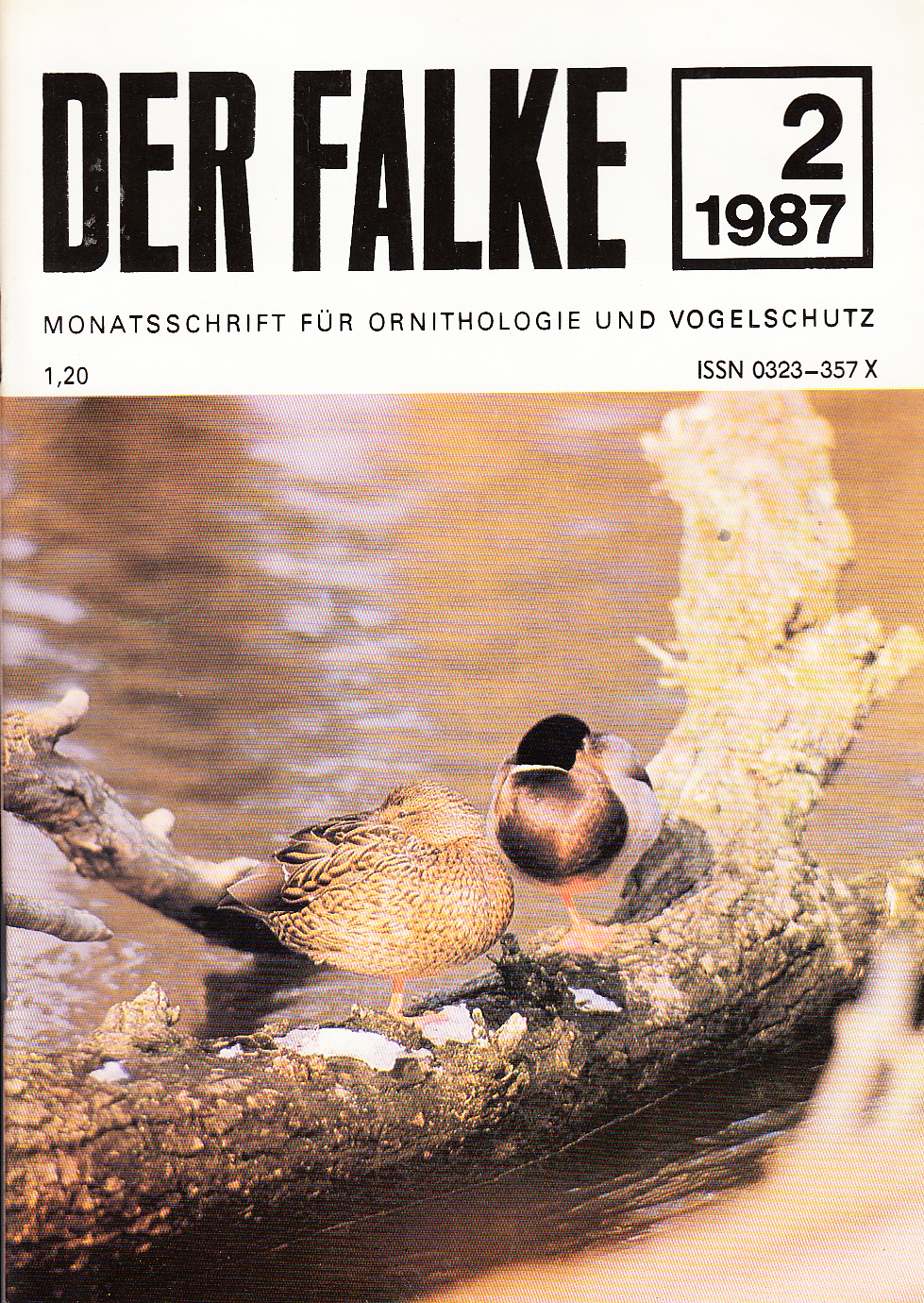 Der Falke : Monatsschrift für Ornithologie und Vogelschutz. Heft 2(1987)