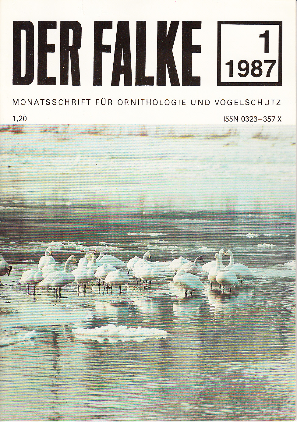 Der Falke : Monatsschrift für Ornithologie und Vogelschutz. Heft 1(1987)