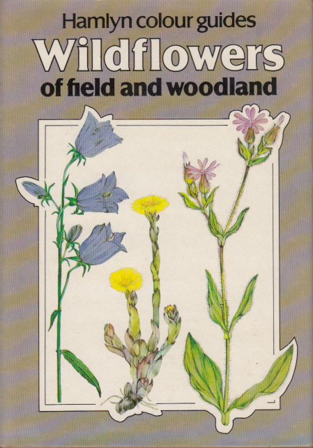 Wildflowers Of Field And Woodland