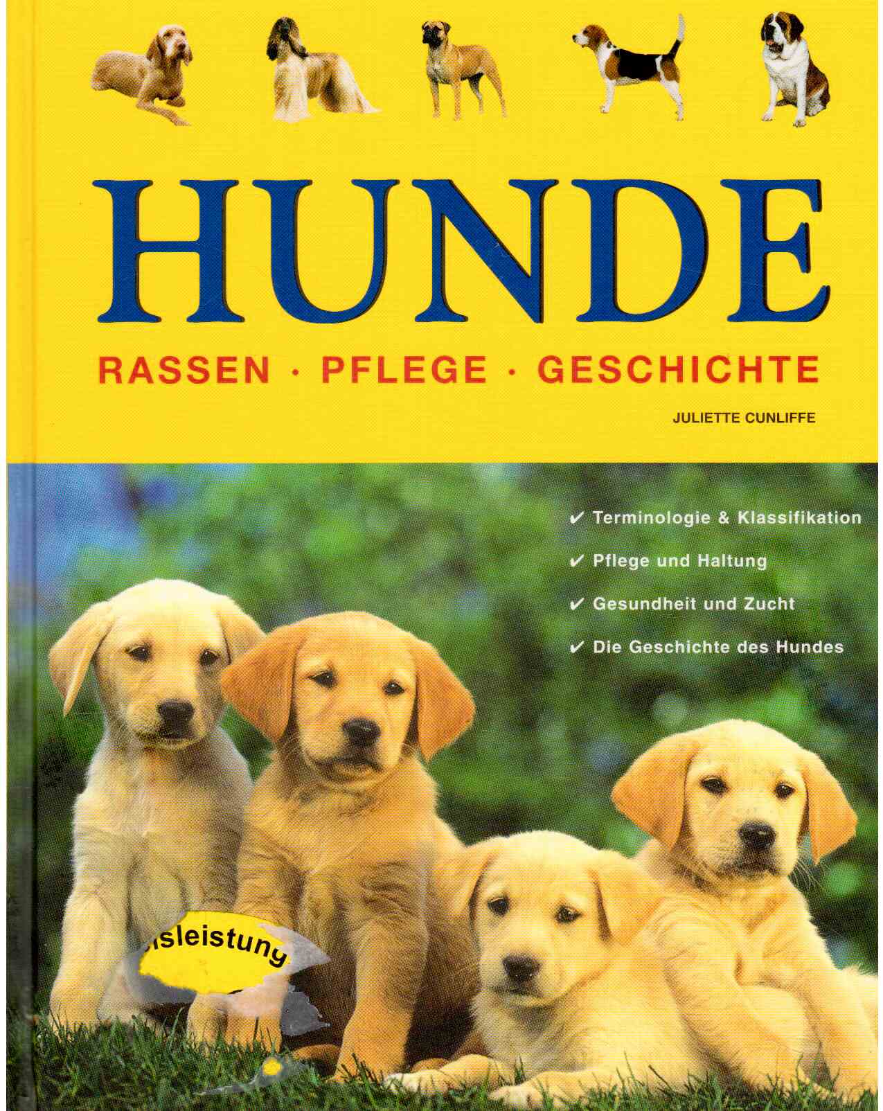 Hunde : Rassen, Pflege, Geschichte