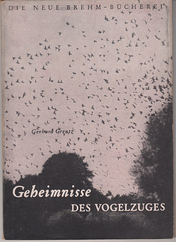 Geheimnisse des Vogelzuges