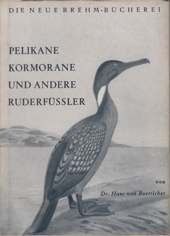 Pelikane, Kormorane und andere Ruderfüssler