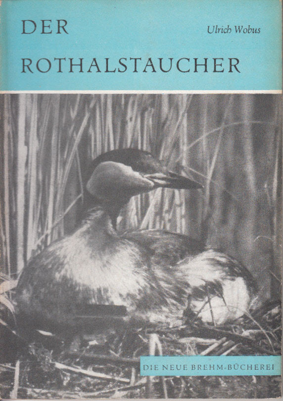 Der Rothalstaucher (Podiceps griseigena Boddaert)