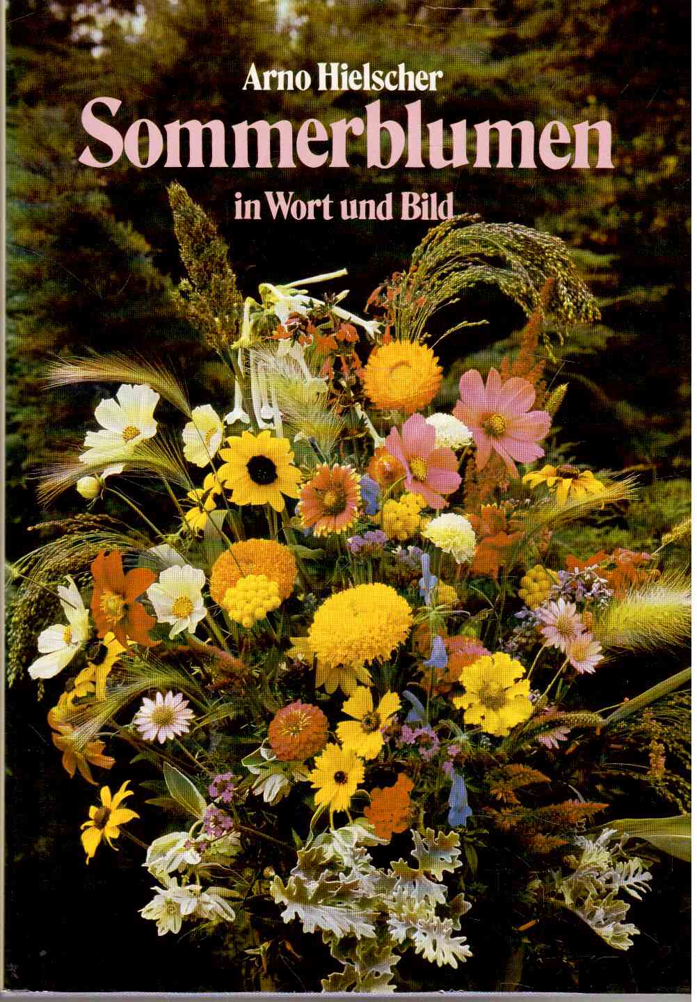 Sommerblumen in Wort und Bild