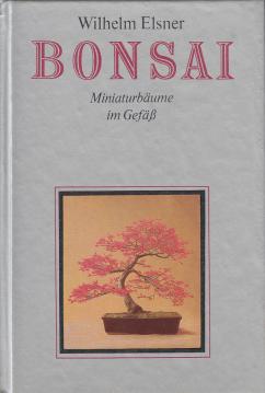 Bonsai. Miniaturbäume im Gefäß