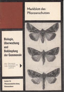 Biologie, Überwachung und Bekämpfung der Gammaeule