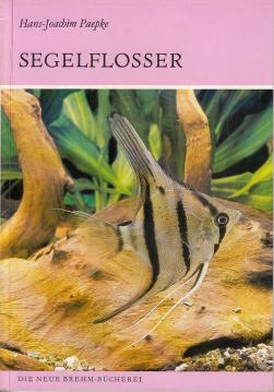 Segelflosser. Die Gattung Pterophyllum.