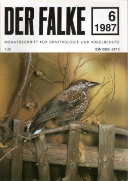 Der Falke. Monatsschrift für Ornithologie und Vogelschutz. Jahrgang 34, 06/1987