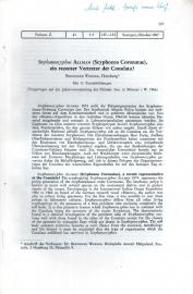 Stephanoscyphus Allman (Scyphozoa Coronatae), ein rezenter Vertreter der Conulata?