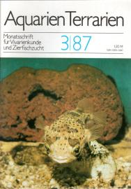 Aquarien Terrarien - Monatsschrift für Vivarienkunde und Zierfischzucht. 3/87