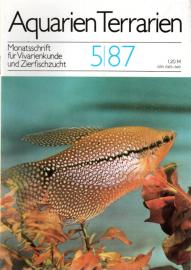 Aquarien Terrarien - Monatsschrift für Vivarienkunde und Zierfischzucht. 5/87