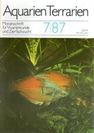 Aquarien Terrarien - Monatsschrift für Vivarienkunde und Zierfischzucht. 7/87