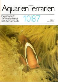 Aquarien Terrarien - Monatsschrift für Vivarienkunde und Zierfischzucht. 10/87