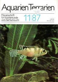Aquarien Terrarien - Monatsschrift für Vivarienkunde und Zierfischzucht. 11/87