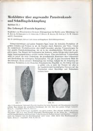 Der Leberegel (Fasciola hepatica) 