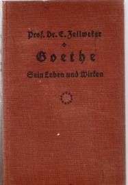 Goethe. Sein Leben und Wirken in Bildern und Urkunden nebst einem Vorspiel Goethes Leben in Schattenrissen