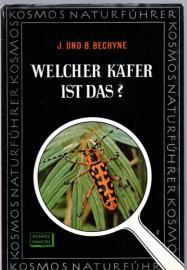 Welcher Käfer ist das ?