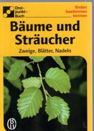 Bäume und Sträucher : Zweige, Blätter, Nadeln.