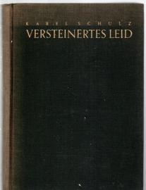 Versteinertes Leid : Michelangelo Buonarroti 