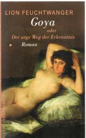 Goya oder Der arge Weg der Erkenntnis: Roman