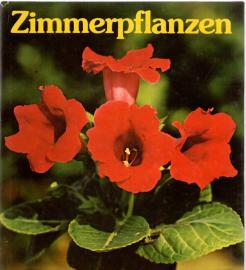 Zimmerpflanzen. 