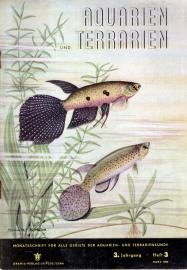 Aquarien und Terrarien. Monatsschrift für alle Gebiete der Aquarien- und Terrarienkunde 3. Jg. Heft 3 Aquarien und Terrarien. Monatsschrift für alle Gebiete der Aquarien- und Terrarienkunde 3. Jg. Heft 3