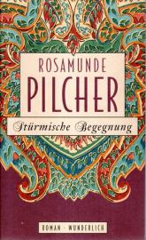 Stürmische Begegnung: Roman