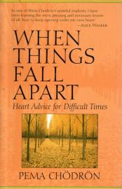 When Things Fall Apart: Heart Advice for Difficult Times