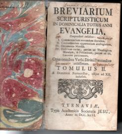 Biblisches Handbuch zu den Sonntagsevangelien des ganzen Kirchenjahres. Zweiter Teil. Biblisches Handbuch zu den Sonntagsevangelien des ganzen Kirchenjahres. Zweiter Teil.